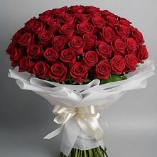 Букет 101 Красная роза Блэк Мэджик в Сарс