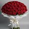 Букет 101 Красная роза Блэк Мэджик в Сарс