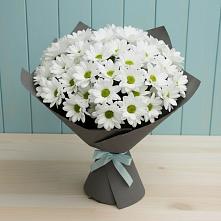 Букет цветов из:  Хризантемы #REPLACE_PRED# Сарс