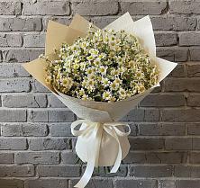 Букет цветов из:  Ромашки в Сарс