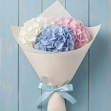 Букет цветов из:  Гортензия в Сарс
