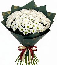 Букет цветов из:  Хризантемы в Сарс