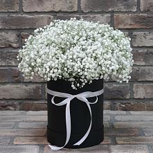 Цветочная композиция из Гипсофила в шляпной коробке в Сарс