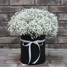 Цветочная композиция из Гипсофила в шляпной коробке в Сарс