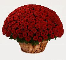 Премиум букет из: Розы в Сарс